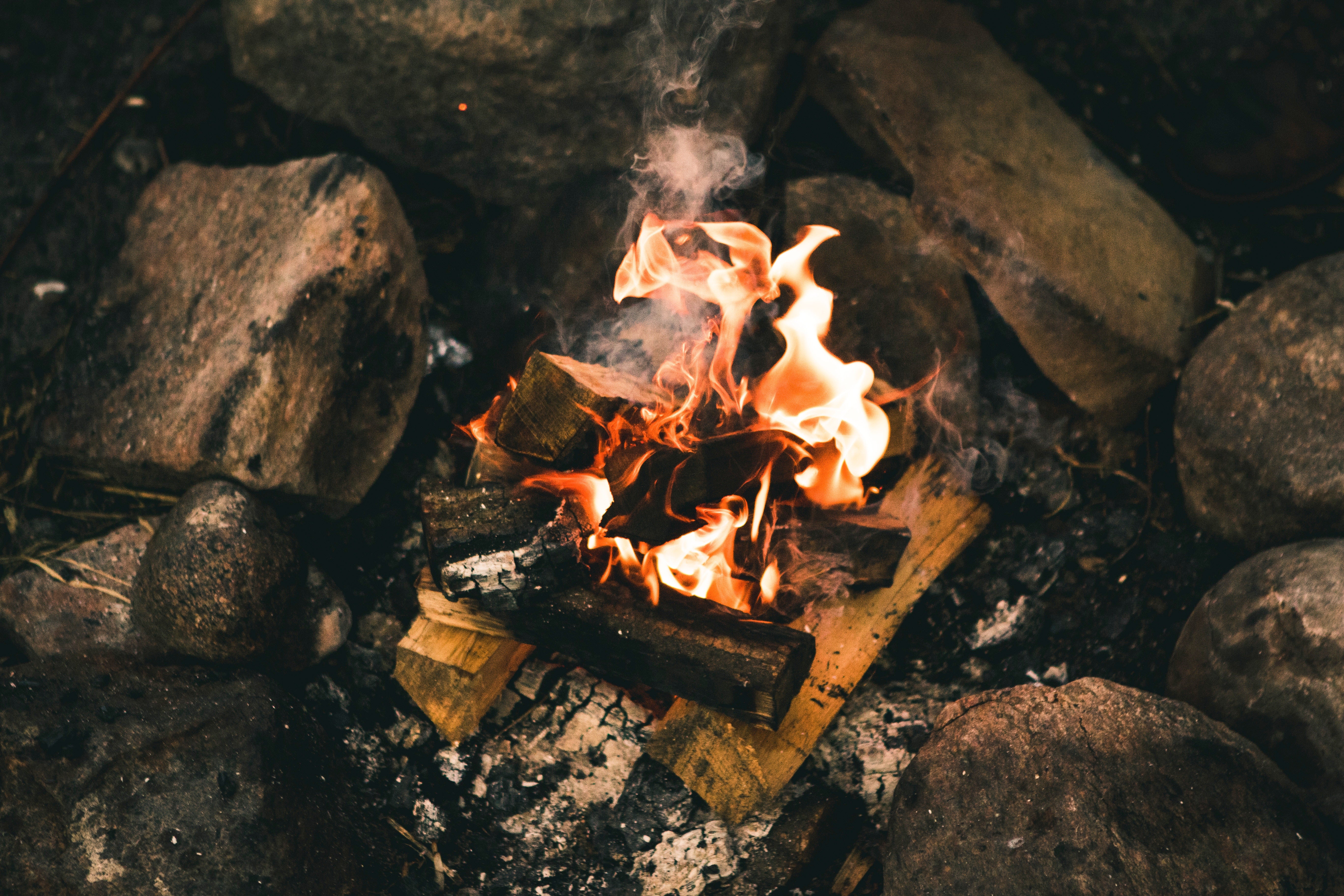 Wood Burning Chart  Survival skills, Wilderness survival, Survival
